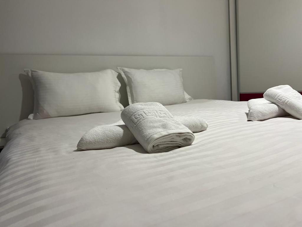 Tudor Central Apartment Mihai Viteazu Square Клуж-Напока Екстериор снимка